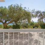 Hotel Orsa Maggiore 4*